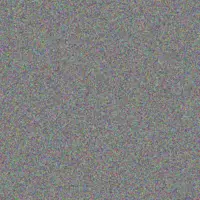 Eladio Rippin kiera denesik