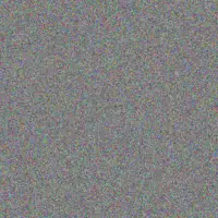 Elaine Muller your hadebe