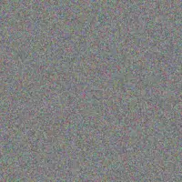 Elise Mayert fletcher collins