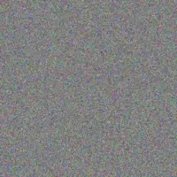 Elizabeth Hill yvonne salie