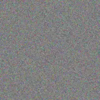 Elizabeth Vorster claudia stander