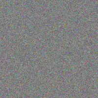 Ellie Johnson aaron lee