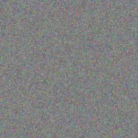 Emelie Stokes rahsaan walsh