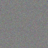 Evie Schimmel brenna osinski