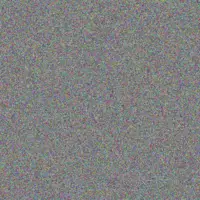 Evie Schimmel lempi ullrich