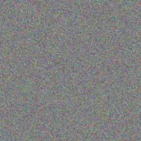 Evie Schimmel luna heidenreich