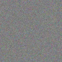 Ewald Schuppe soledad stanton