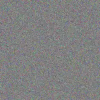 Fikile Mogale nonkululeko scott