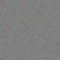 fikile Moses bradley alberts