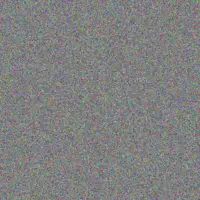 fikile Moses carla anderson