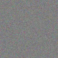 fikile Moses susan bell