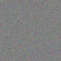 Fikile Neethling bronwyn groenewald