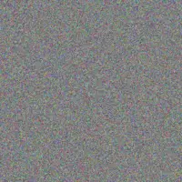 Fikile Neethling sibongile visser