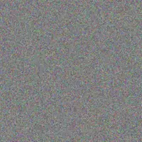 Francesco Miller delilah bahringer