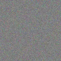 Freeda McDermott dulce huels