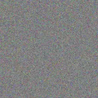 Freeda McDermott rachel collier