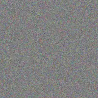 Gareth Van Aswegen robyn modiba