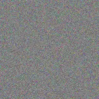 Gary Ncube grant beukes