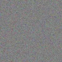 Gary Scholtz mandisa mthethwa