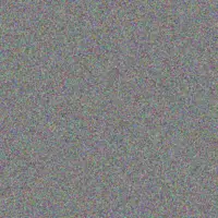 Gary Scholtz mandla masilela