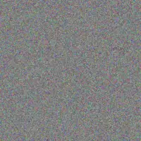 Gilberto Mitchell zelda grady