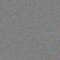 Gillian Abrahams danielle dladla