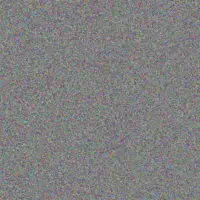 Golden McKenzie conrad spencer