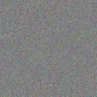 Gordon Le Roux yusuf scheepers