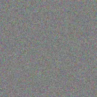 Grady Sauer talia schiller