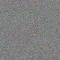 Gregory Kok michelle strauss