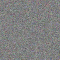 Hanna Murazik xzavier nienow