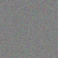 Hannes Koen shaun ally