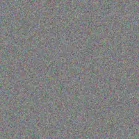 Hannes Mohale bongiwe zondo