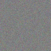 Heidi De Jager thandi zondo