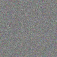 Imani Hagenes brandt bayer