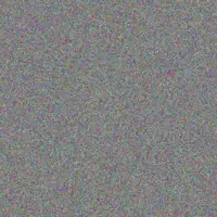 Ingrid De Lange precious ntshangase