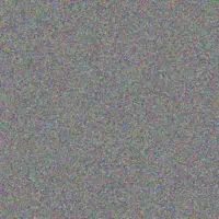 Ingrid Goosen next human