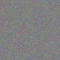 Ingrid Hall nonkululeko bezuidenhout