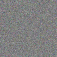 Innocent Lottering carla potgieter