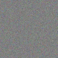 Innocent Nhlapo fatima samuels