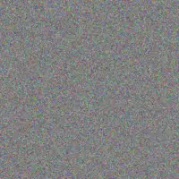 Itumeleng van der Westhuizen sibongile kotze