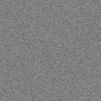 jacobus van Staden frans els