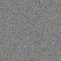 Jany Conroy chasity grady