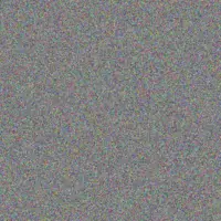 Jany Conroy haylee schumm