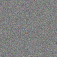 Jazmyn Robel wilmer lesch