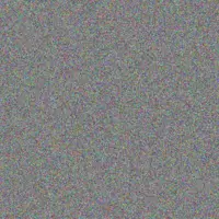 Jennifer Lee ernest kriel