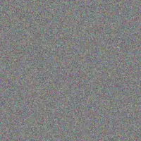 Jensen Ward hazle stark