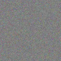 Jensen Ward mozelle hessel