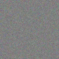 Joe Roberts lucy collins