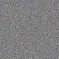 Johanna Brand brett maharaj